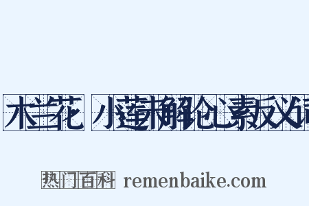 木兰花·小莲未解论心素反义词是什么意思的图片